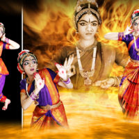dance2 |raja color studio