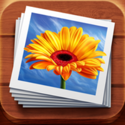 Albums